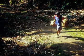 Baduy's boy 1.jpg (20598 bytes)