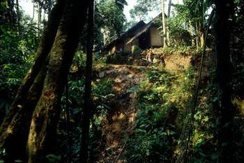 Baduy's kampong 1.jpg (19595 bytes)