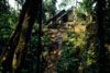 Baduy's kampong 1small.jpg (10086 bytes)