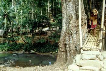 Baduy's kampong 2.jpg (21299 bytes)